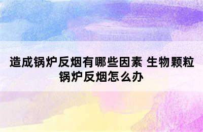 造成锅炉反烟有哪些因素 生物颗粒锅炉反烟怎么办